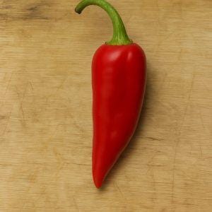 Fresno Pepper seeds Heirloom Chilli Seeds and Rare chilli seeds South africa