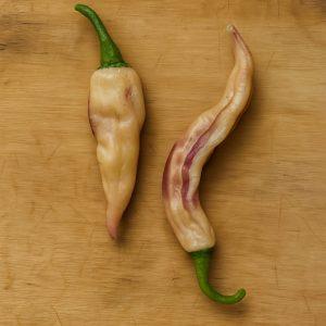 Pimenta Sparanise Peachy Heirloom Chilli Seeds and Rare chilli seeds South africa