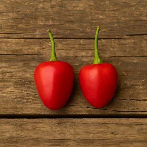 Juanita Sweet Piquante pepper. peppadew seeds Heirloom Chilli Seeds and Rare chilli seeds South africa