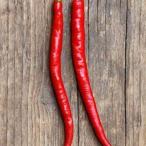 Long Red Cayenne Pepper Seeds