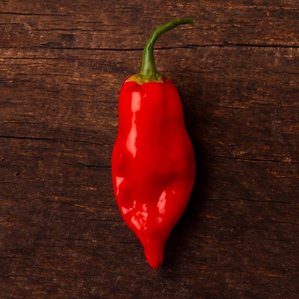 Aji Norteno Chilli Seeds Authentic - From Seed to Sensation: Spring into action with 10 Premium Heirloom Variety seeds 1 Aji Norteno chilli seeds
