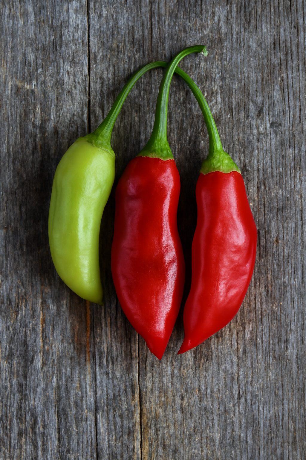Aji Rico Chilli Seeds Authentic - From Seed to Sensation: Spring into Action with 10 Premium Quality Seeds 1 Aji Rico chilli seeds