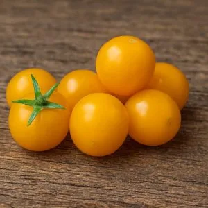 100% Quality Fruit And Vegetable Seeds For Abundant Living