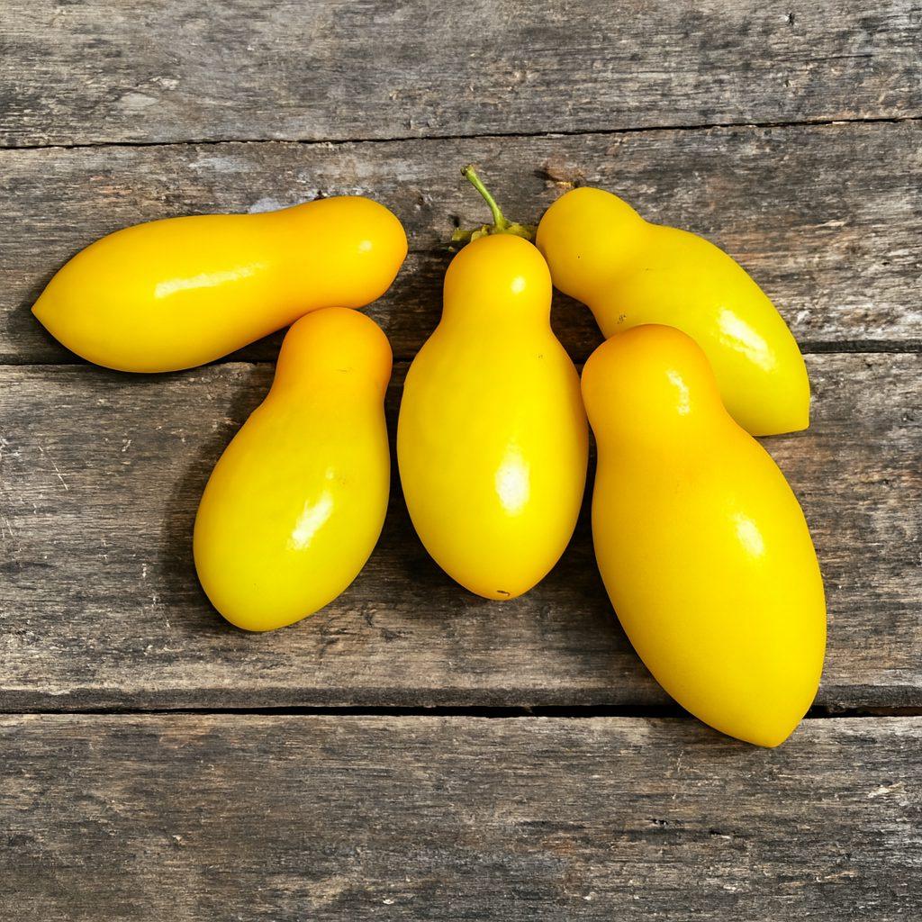 Borghese Vase Roman Dwarf Tomato Seeds Authentic - From Seed to Sensation: Spring into Action with 100% Premium Quality Seeds 1 Borghese vase roman tomato seeds