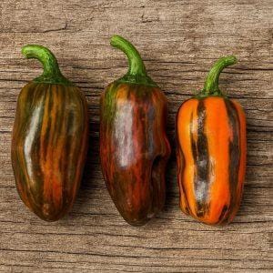 Candy cane chocolate cherry pepper seeds