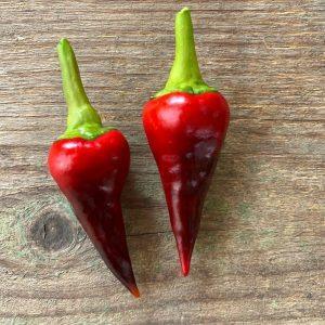 Comstock Purple Chilli Seeds