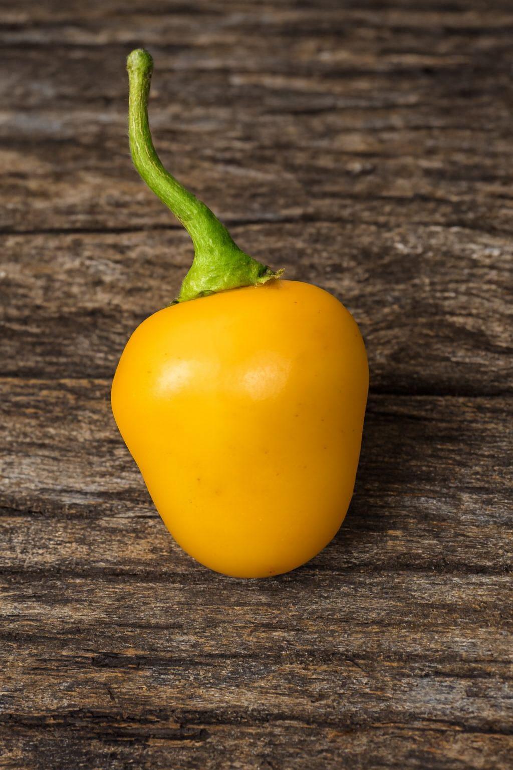Mini Rocoto Yellow Chilli Seeds Authentic - From Seed to Sensation: Spring into action with 10 Premium Heirloom Variety seeds 1 Mini Rocoto Yellow chilli seeds