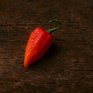 Mother of reaper red chilli seeds