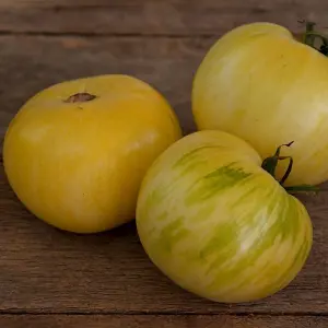 100% Quality Fruit And Vegetable Seeds For Abundant Living