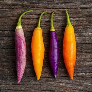 Aji Challuaruro Chilli Seeds