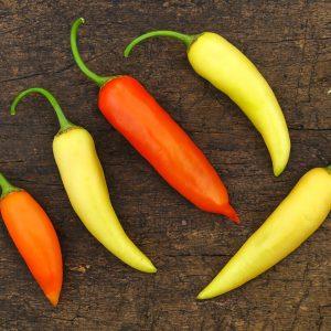 Aji Crystal Chilli Seeds