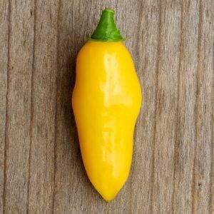 Aji Limo Chilli Seeds