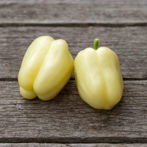 Albino Bullnose Pepper Seeds