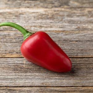 Archibo Chilli Seeds