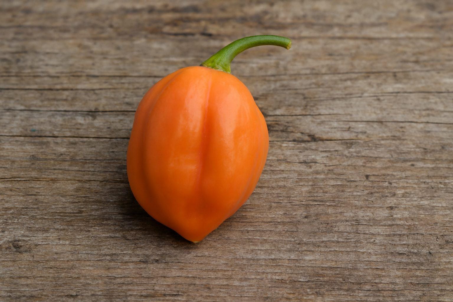 Ariba Saia Rosé Chilli Seeds Authentic - From Seed to Sensation: Spring into action with 10 Premium Heirloom Variety seeds 1 Ariba Saia Rosé Chilli Seeds