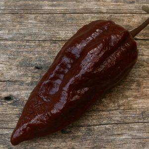BBM x Scorpion Chilli Seeds