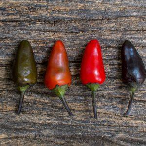 Bellingrath Gardens Chilli Seeds