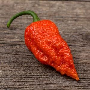 Bhutlah SLP Red chilli seeds
