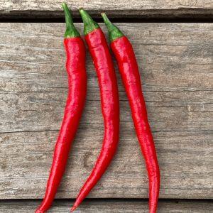 Big Thai Chilli Seeds