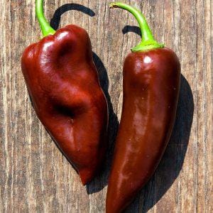 Black Naga Smooth Chilli Seeds