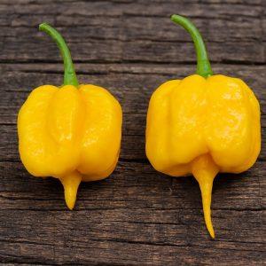 Carolina reaper yellow chilli seeds