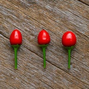 Chiltepin Chilli Seeds