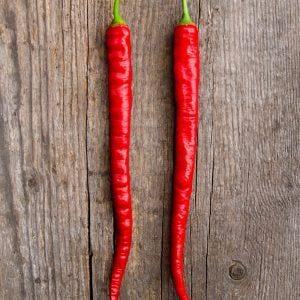 Corbaci Chilli Seeds