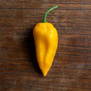 Datil pepper seeds