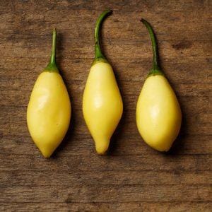 Dulce Blanca chilli seeds