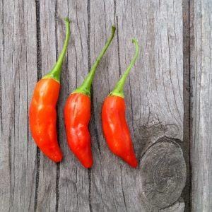 Dulce Naranja Chilli Seeds