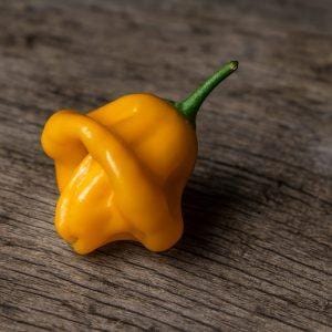 Dulce Sol Chilli Seeds