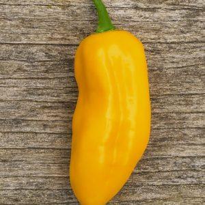 Fatalii X Chilli Seeds