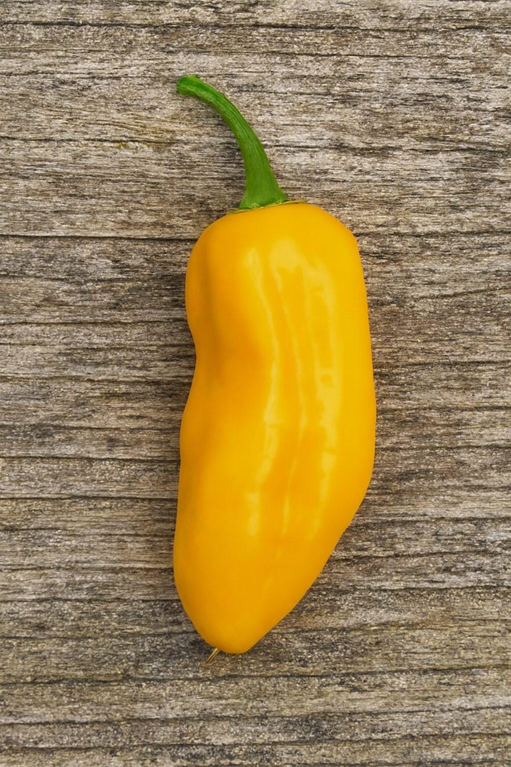 Fatalii x Chilli Seeds Authentic - From Seed to Sensation: Spring into Action with 10 Premium Quality Seeds 1 Fatalii X Chilli Seeds