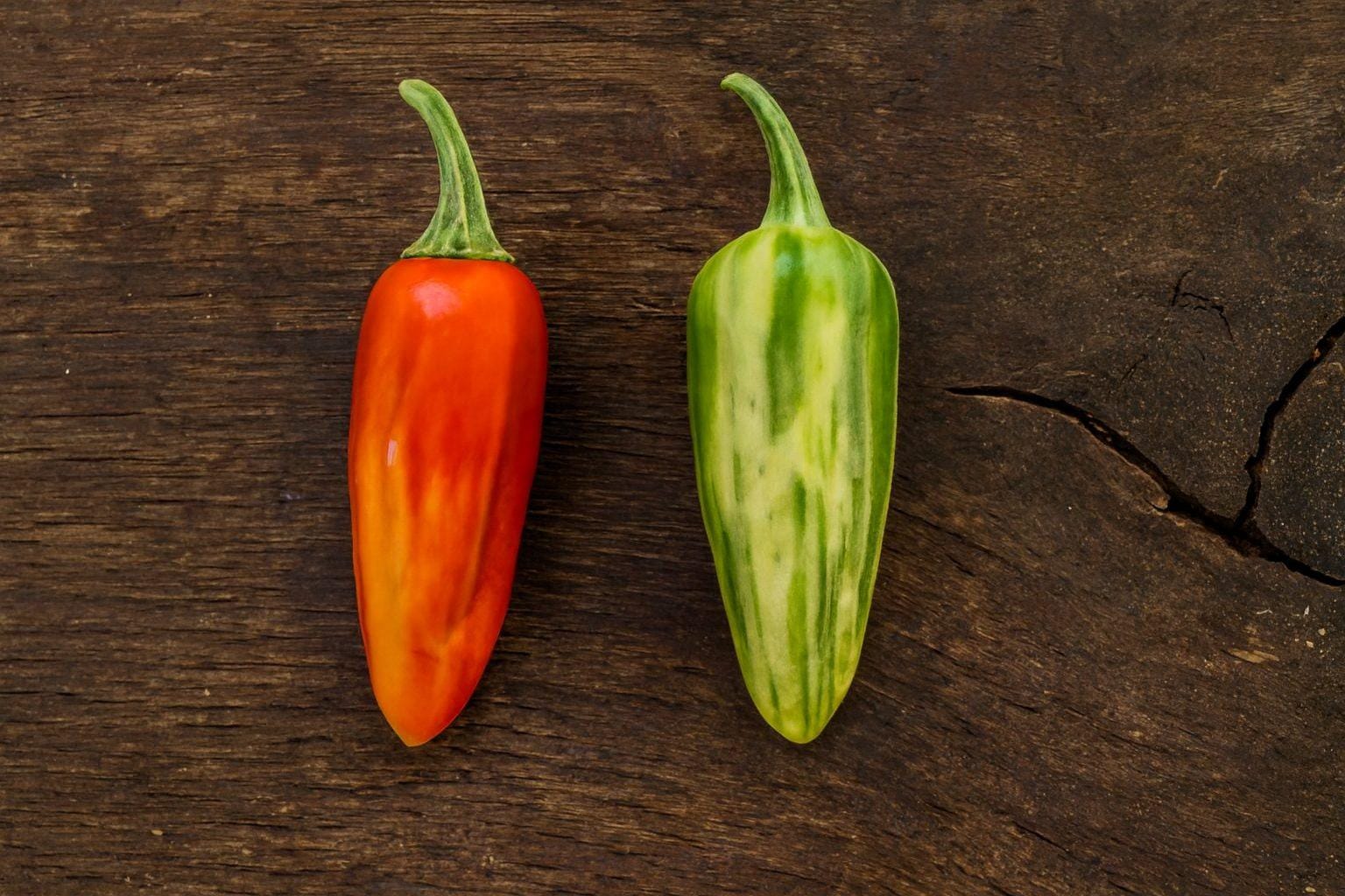 Fish Pepper Seeds Authentic - From Seed to Sensation: Spring into action with 10 Premium Heirloom Variety seeds 1 Fish Pepper Seeds