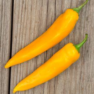 Golden Marconi Pepper Seeds