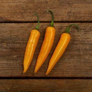 Golden cayenne pepper seeds