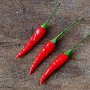 Guinea bissau Chilli Seeds