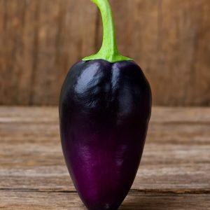 Gypsy Baroness Pepper Seeds