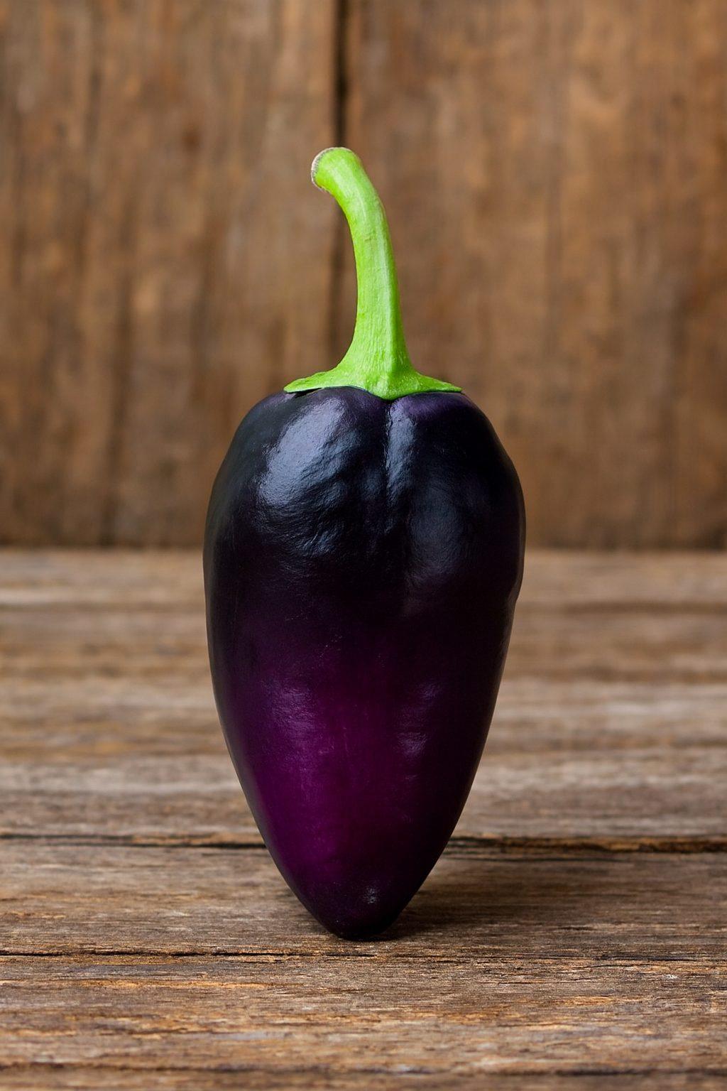 Gypsy Baroness Pepper Seeds Authentic - From Seed to Sensation: Spring into Action with 10 Premium Quality Seeds 1 Gypsy Baroness Pepper Seeds