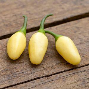 Habanero White Bullet Chilli Seeds