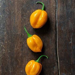 Hainan Yellow Lantern Chilli Seeds