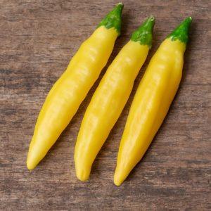 Lemondrop chilli seeds