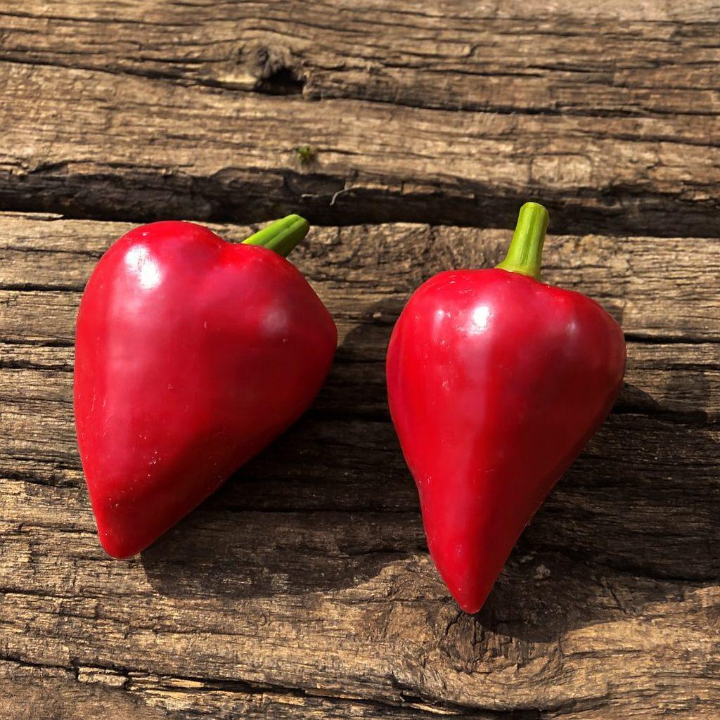 Lesya Pepper Seeds Authentic - From Seed to Sensation: Spring into action with 10 Premium Heirloom Variety seeds 1 Lesya pepper seeds