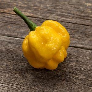 MOA Scotch Bonnet Yellow chilli seeds
