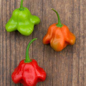 Madhatter pepper seeds