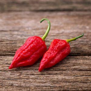 Naga red chilli seeds