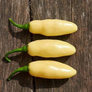 Neyde White Bullet Chilli Seeds