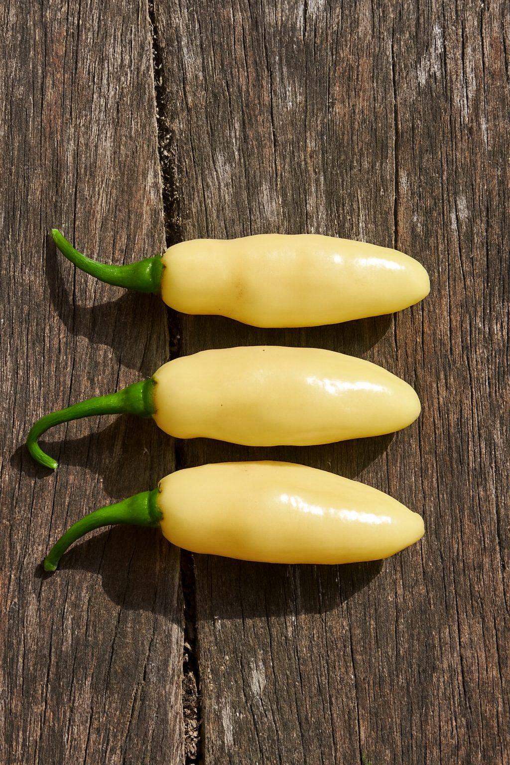 Neyde White Bullet Chilli Seeds Authentic - From Seed to Sensation: Spring into Action with 10 Premium Quality Seeds 1 Neyde White Bullet Chilli Seeds