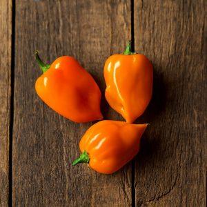 Orange Habanero chilli seeds
