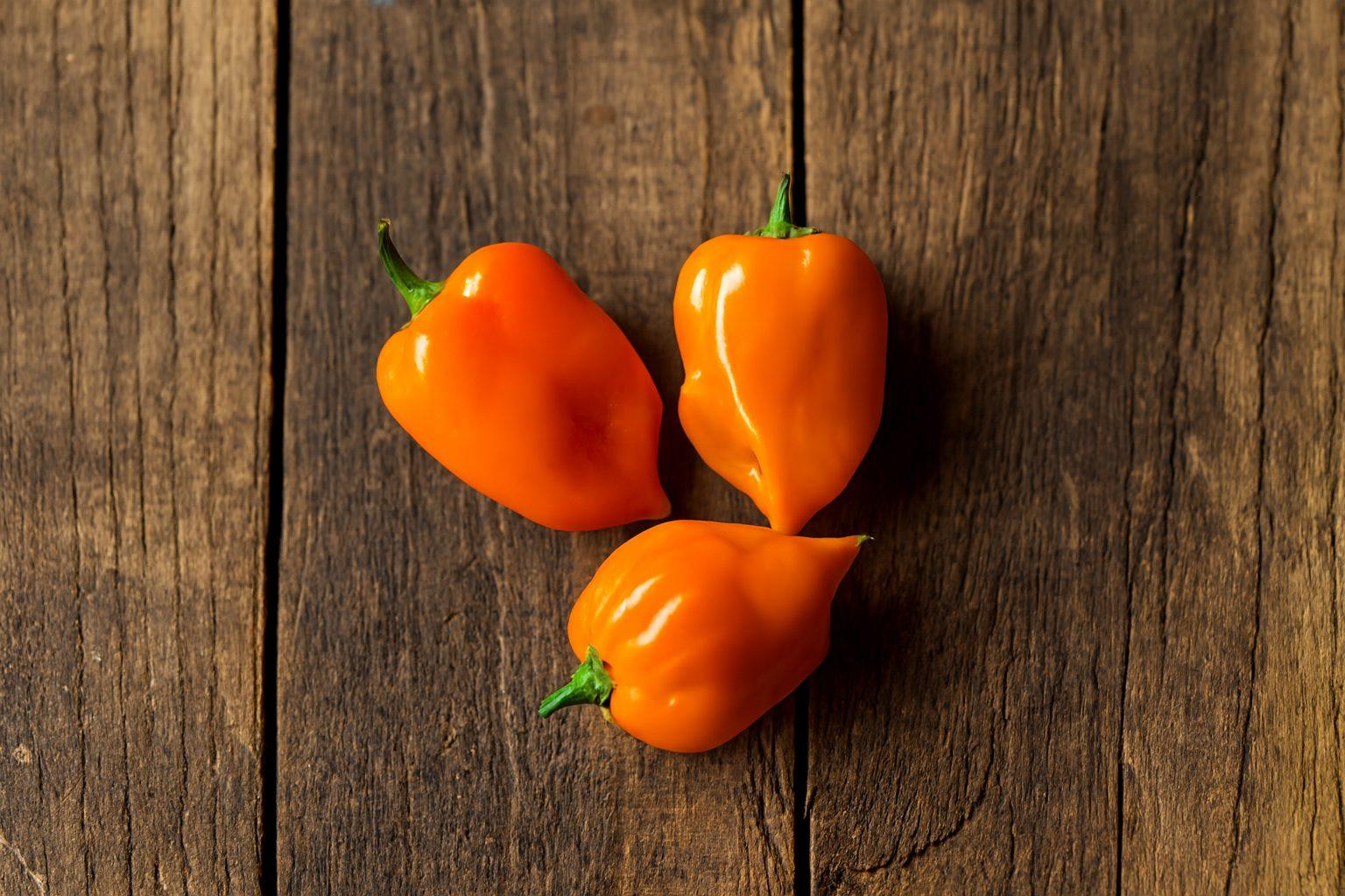 Orange Habanero Chilli Seeds Authentic - From Seed to Sensation: Spring into action with 10 Premium Heirloom Variety seeds 1 Orange Habanero chilli seeds
